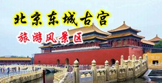 骚骚操导航中国北京-东城古宫旅游风景区